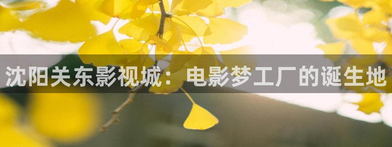 4468私人影院：沈阳关东影视城：电影梦工厂的诞生地