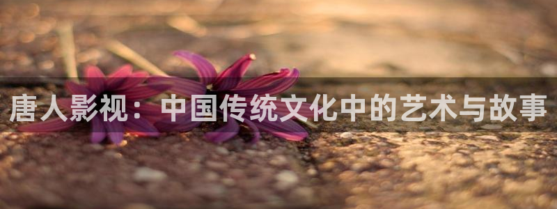 680伊人影院在线观看视频：唐人影视：中国传统文化中的艺术与故事