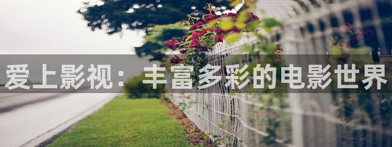 6680在线影院：爱上影视：丰富多彩的电影世界