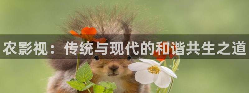 68影院短剧追剧：农影视：传统与现代的和谐共生之道