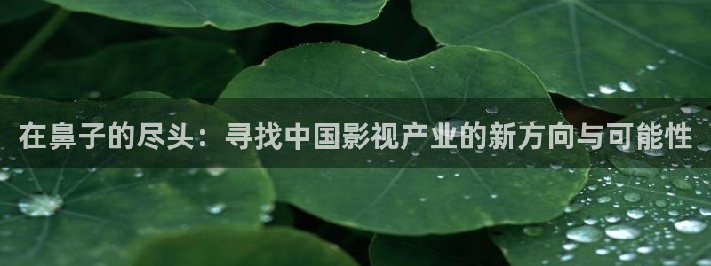 yy666888成人私人影院：在鼻子的尽头：寻找中国影视产业的新方向与可能性