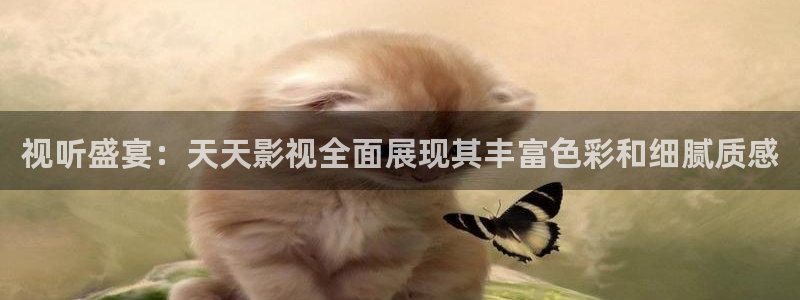 yy6680新视觉影视：视听盛宴：天天影视全面展现其丰富色彩和细腻质感