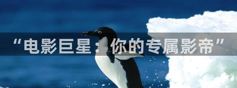 神马影院1684：“电影巨星：你的专属影帝”