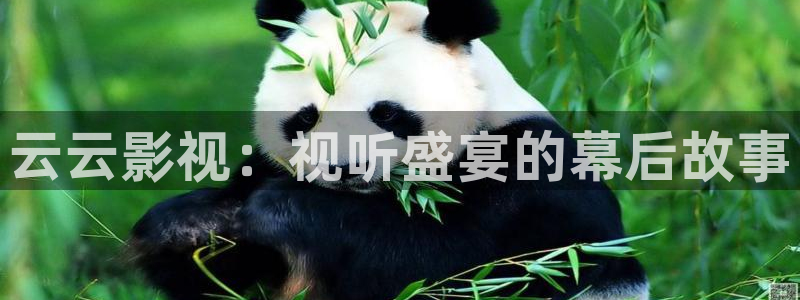 6688影院免费看电视剧：云云影视：视听盛宴的幕后故事