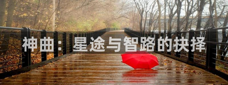 四虎影视1668：神曲：星途与智路的抉择