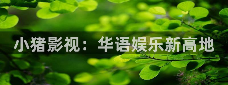 68影视网：小猪影视：华语娱乐新高地
