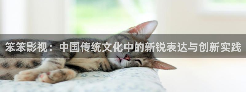 ef686.com樱桃小视频：笨笨影视：中国传统文化中的新锐表达与创新实践